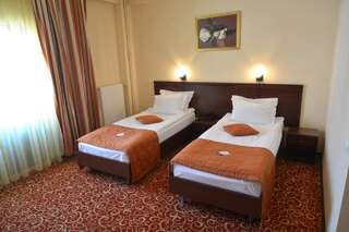 Отель Hotel Central Плоешти Стандартный двухместный номер с 1 кроватью или 2 отдельными кроватями-2